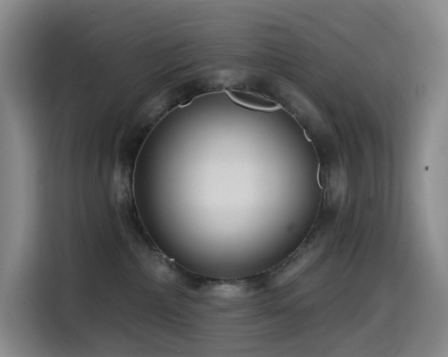 X0000114570236200910191509