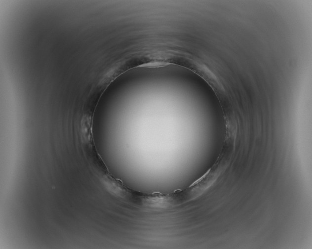 X0000114570237200910191509