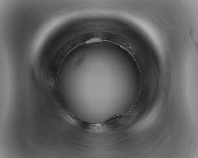 X0000114570239200910191509