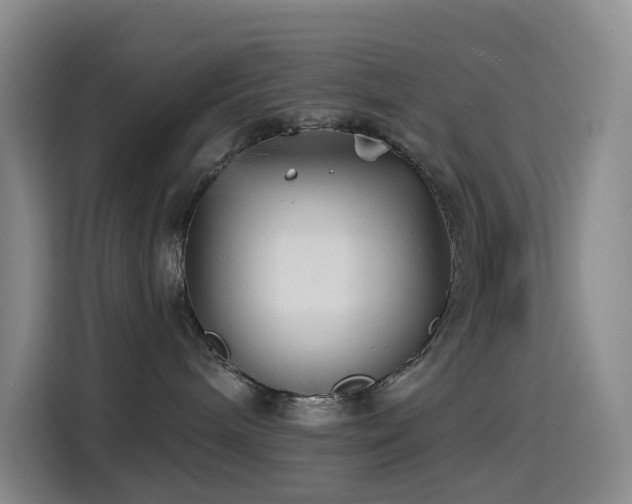 X0000114570240200910191509