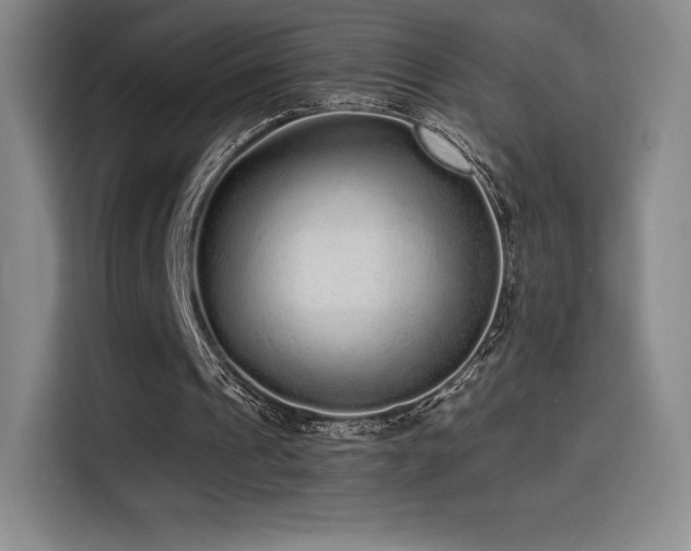 X0000114570241200910191509