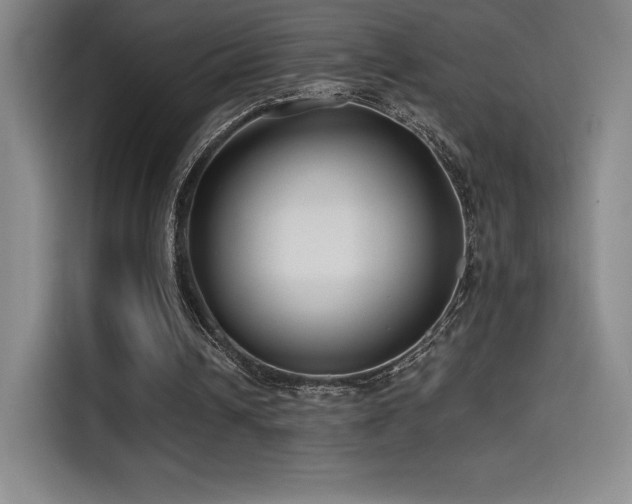 X0000114570242200910191509