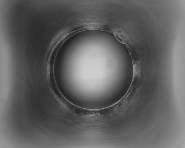 X0000114570243200910191509