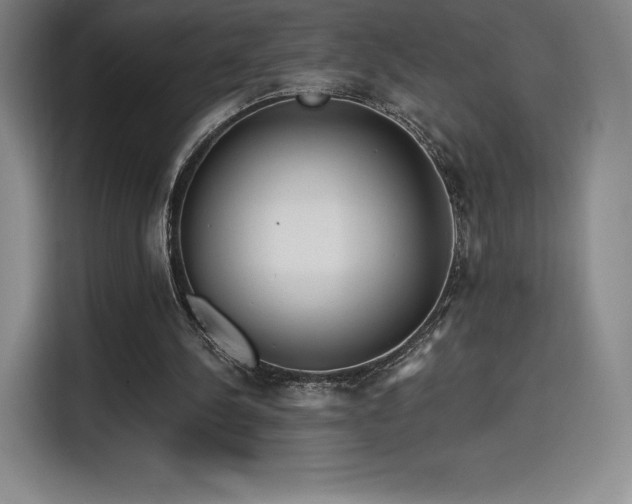 X0000114570244200910191509