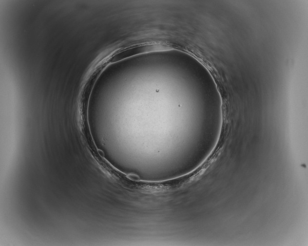 X0000114570245200910191509