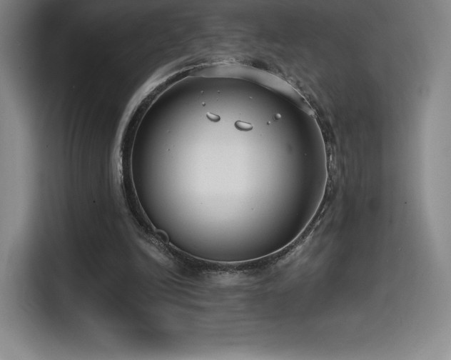 X0000114570246200910191509