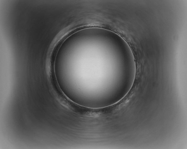 X0000114570247200910191509