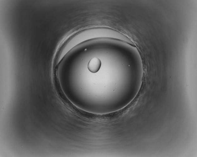 X0000114570248200910191509