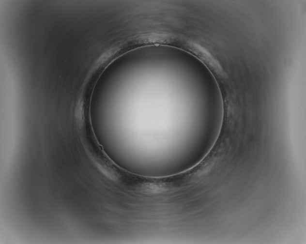 X0000114570250200910191509