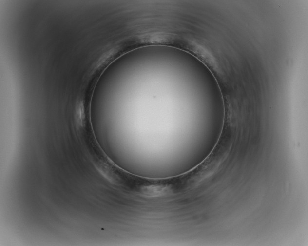 X0000114570251200910191509