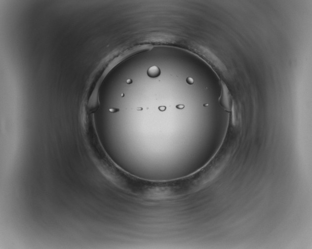 X0000114570252200910191509