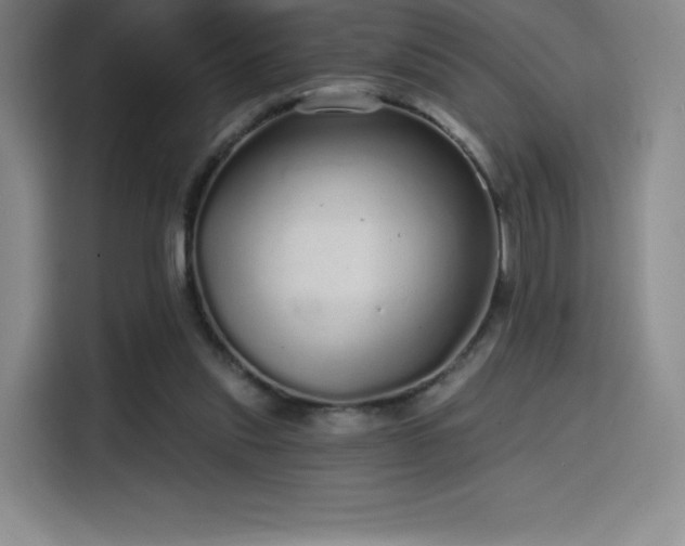 X0000114570253200910191509