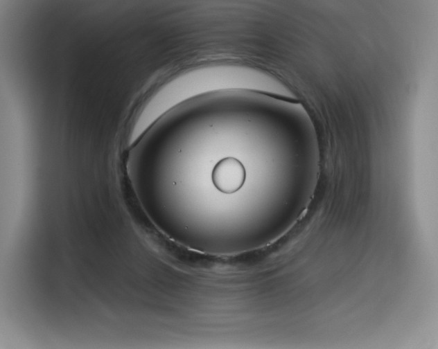 X0000114570256200910191509