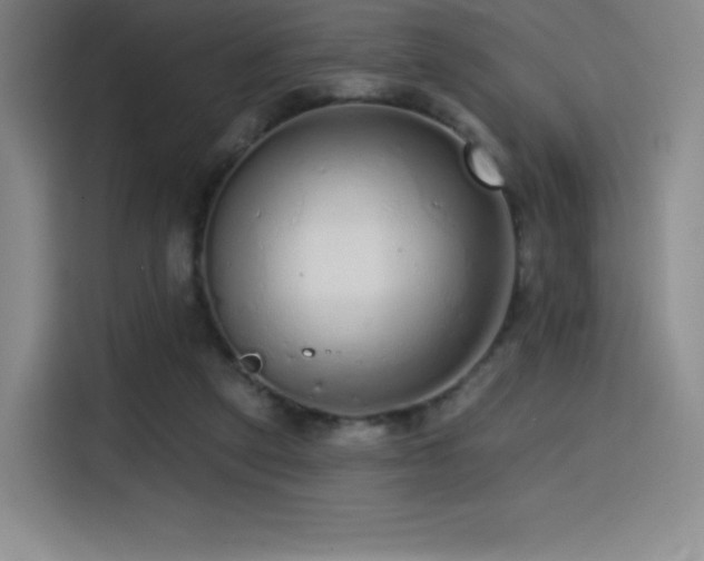 X0000114570257200910191509