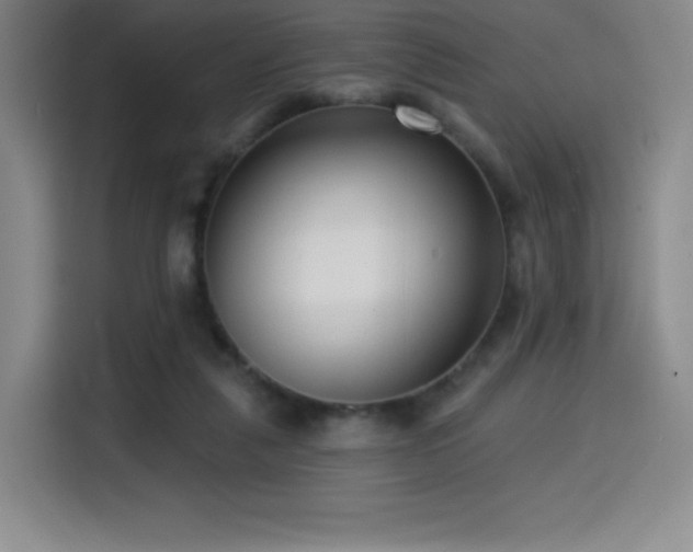 X0000114570259200910191509