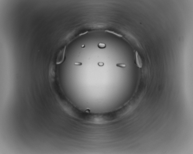 X0000114570264200910191509