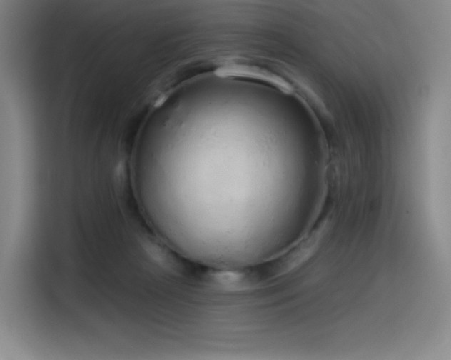 X0000114570265200910191509