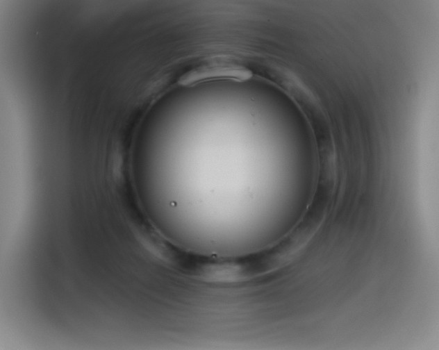 X0000114570266200910191509