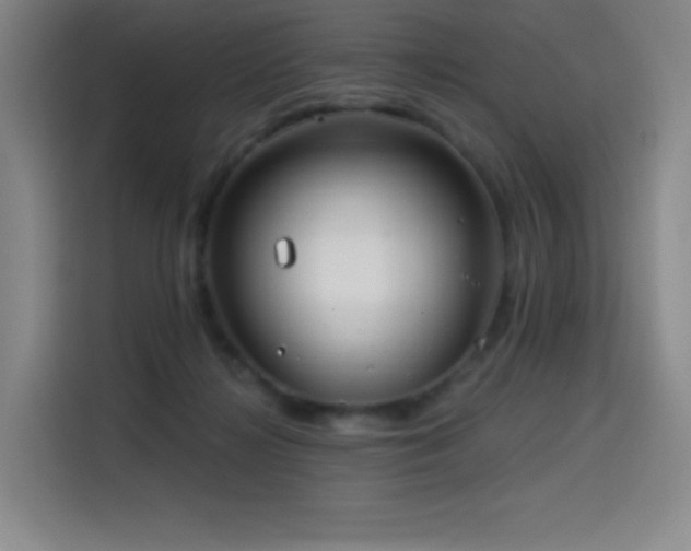 X0000114570268200910191509