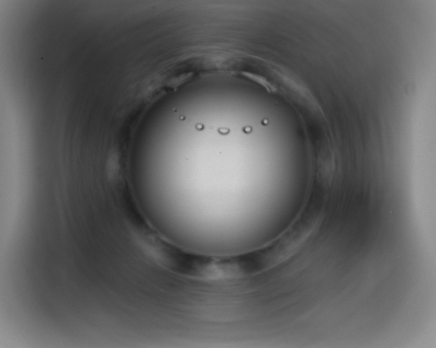 X0000114570270200910191509