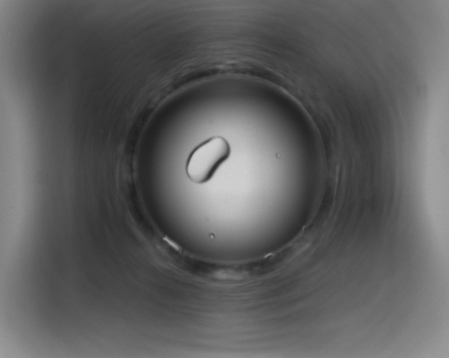 X0000114570272200910191509