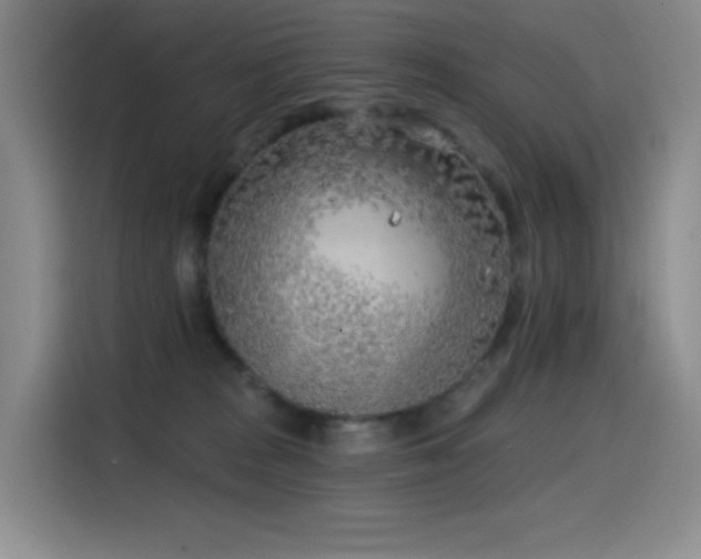 X0000114570277200910191509