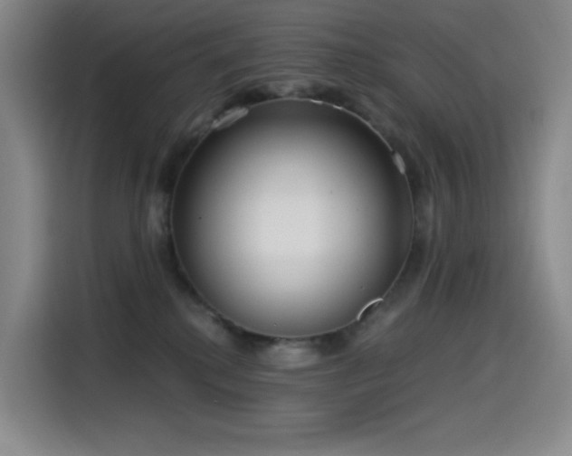 X0000114570280200910191509