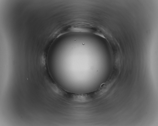 X0000114570282200910191509