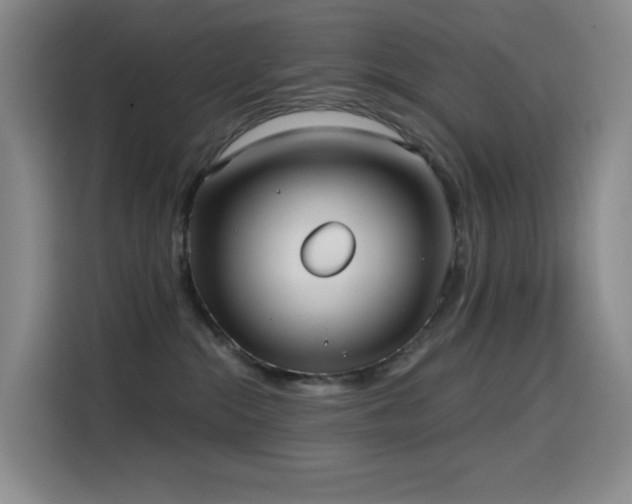 X0000114570284200910191509