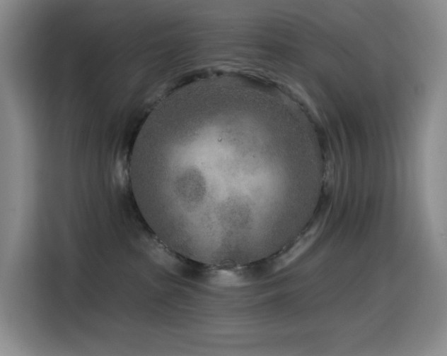 X0000114570285200910191509