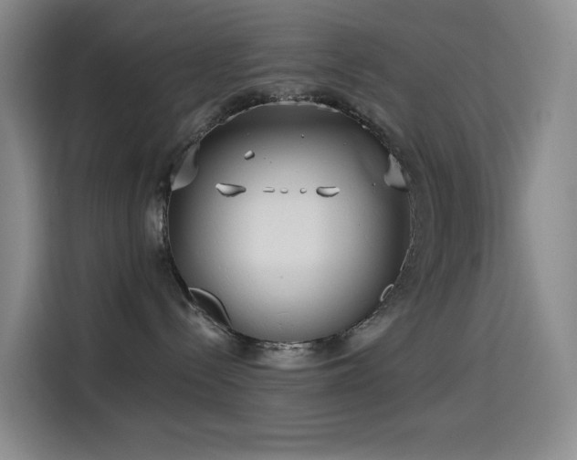 X0000114570288200910191509