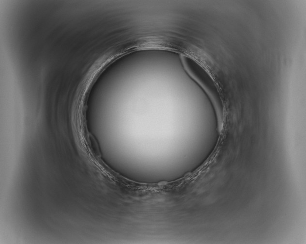 X0000114570289200910191509