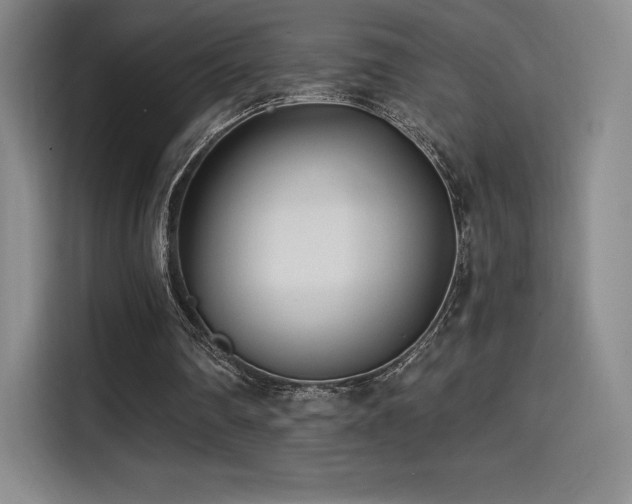 X0000114570290200910191509