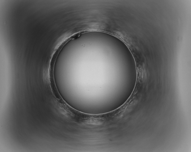 X0000114570292200910191509