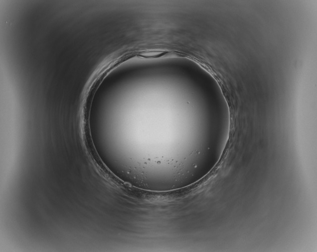 X0000114570293200910191509