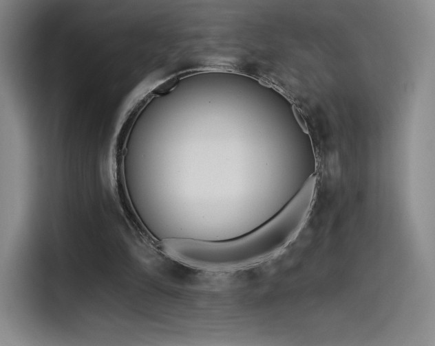 X0000114570294200910191509