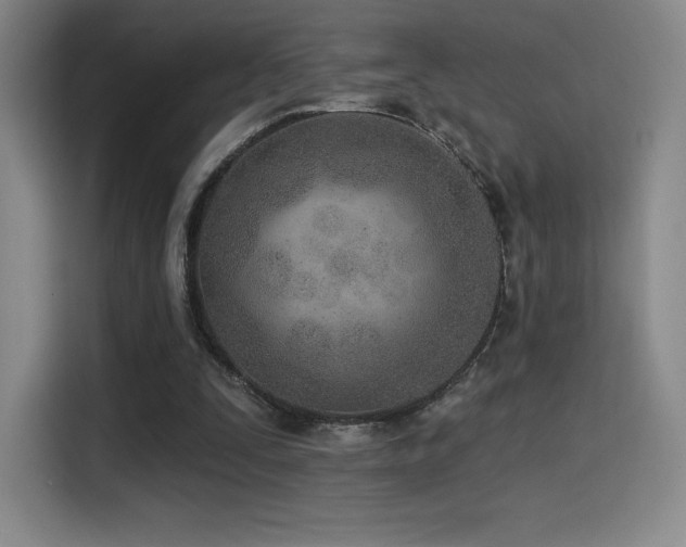 X0000114570295200910191509