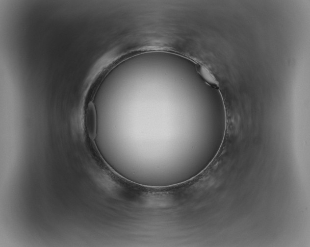 X0000114570296200910191509