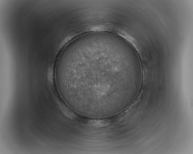 X0000114570297200910191509