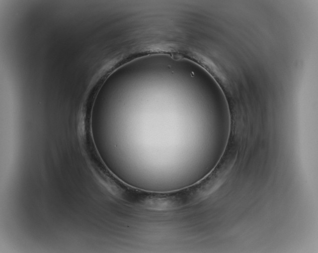 X0000114570299200910191508