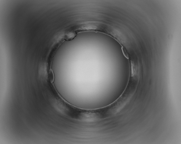 X0000114570300200910191508