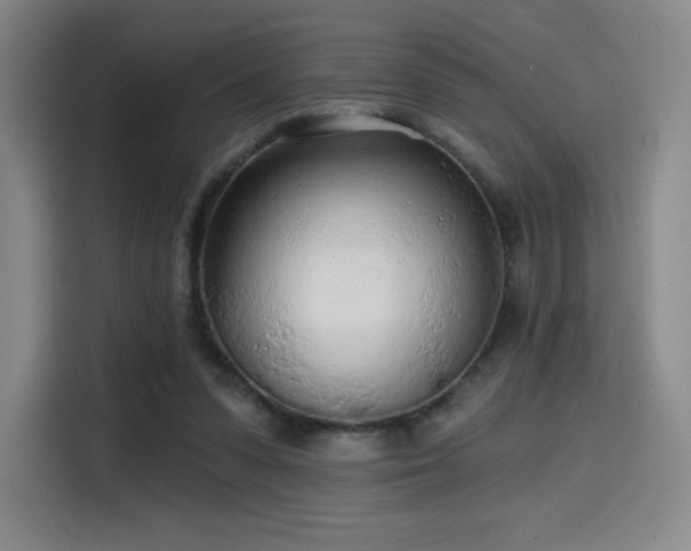 X0000114570303200910191508