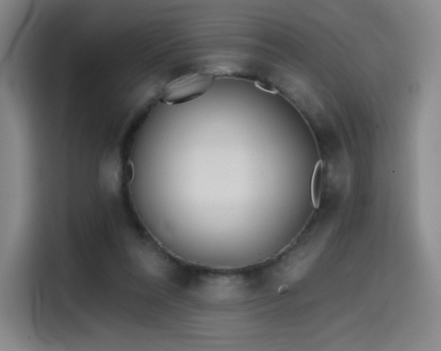 X0000114570304200910191508