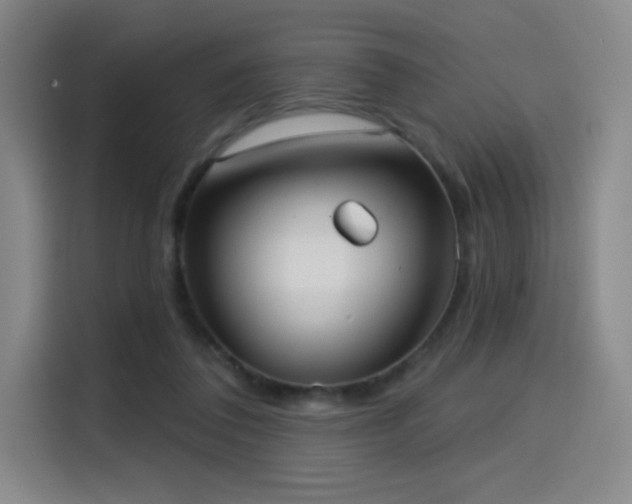 X0000114570308200910191508