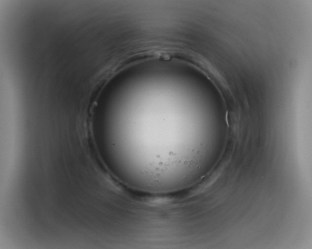 X0000114570313200910191508