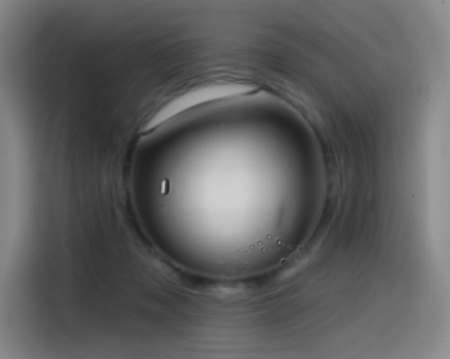 X0000114570317200910191508