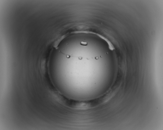 X0000114570319200910191508