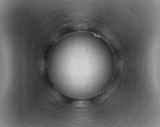 X0000114570323200910191508