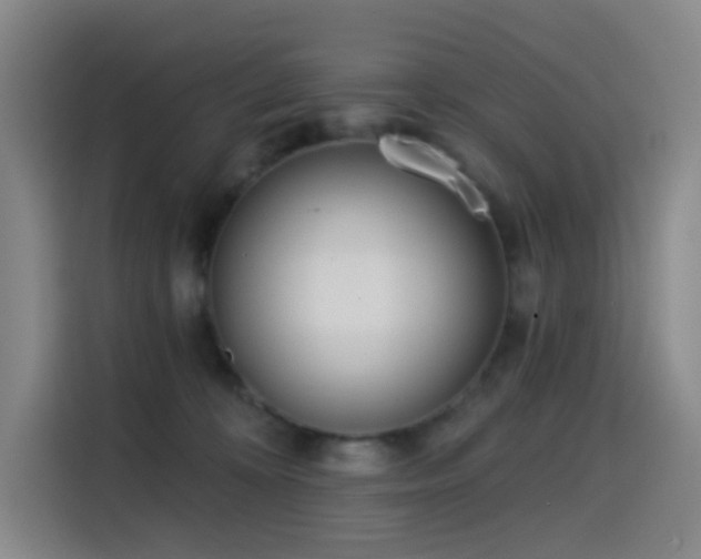 X0000114570324200910191508