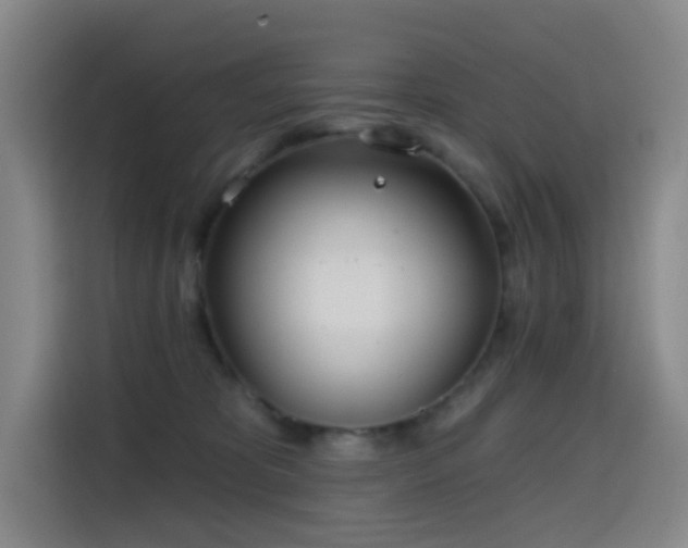 X0000114570325200910191508